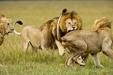 《马里奥高尔夫》免费更新上线 追加新角色新场地