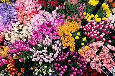 《小小梦魇》系列销量突破2000万 万代公布更多跨媒体作品